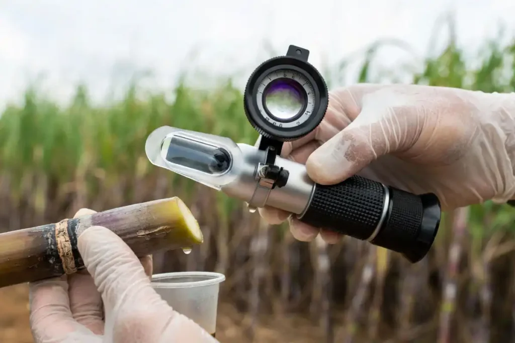 hands testing cane juice brix with refractometer