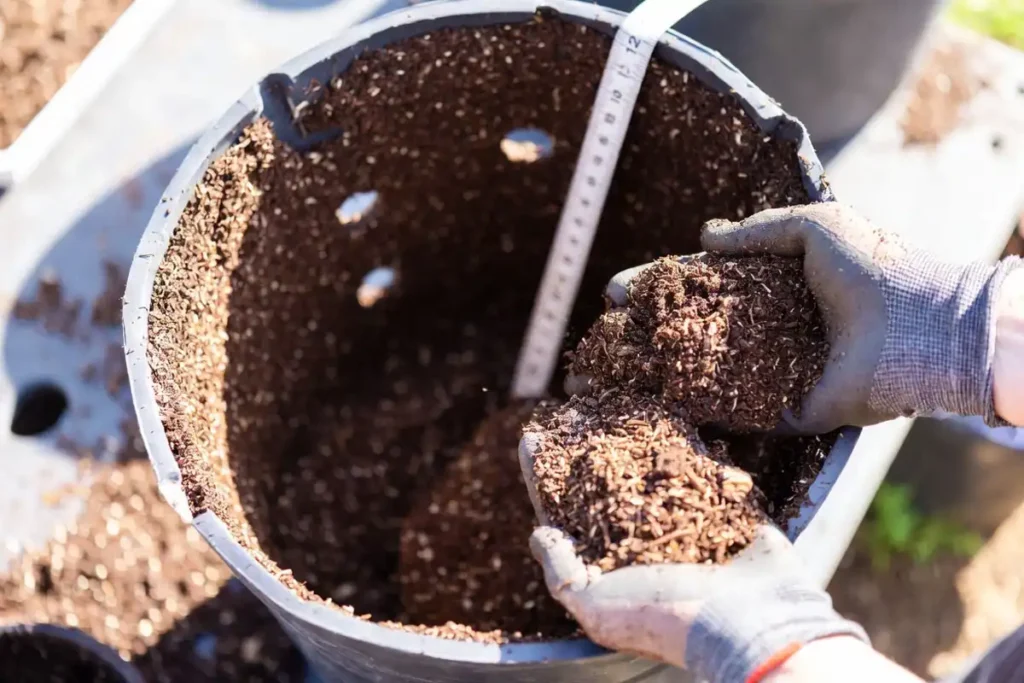 hands filling tall container with potting mix