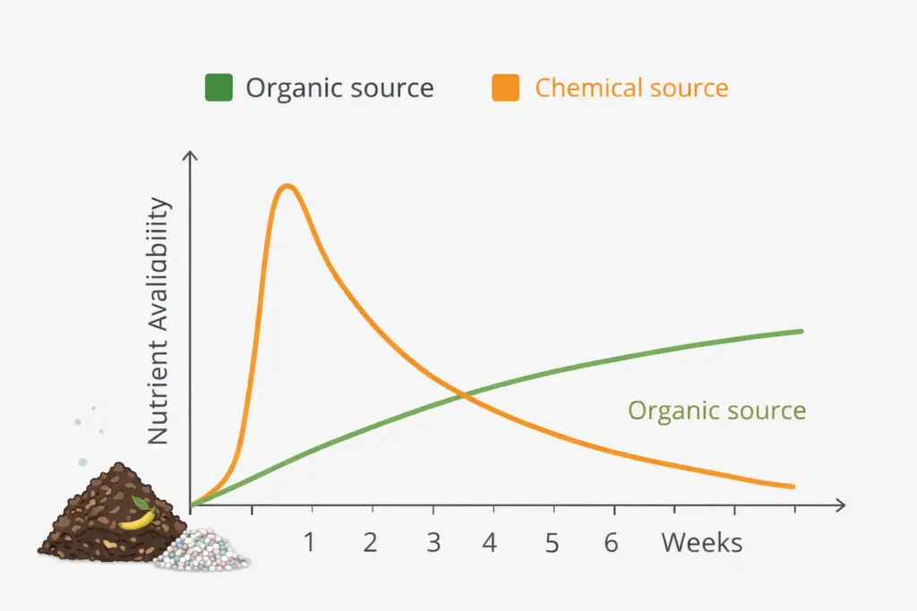 nutrient release timing for organic and synthetic fertilizer