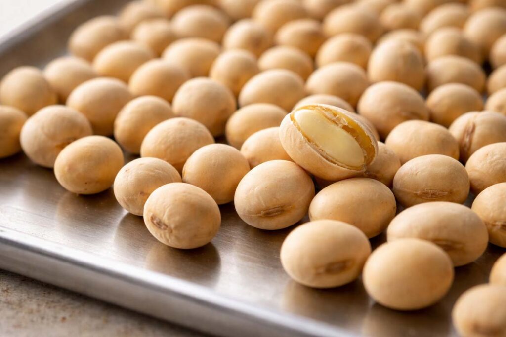 soybean seed texture on metal tray