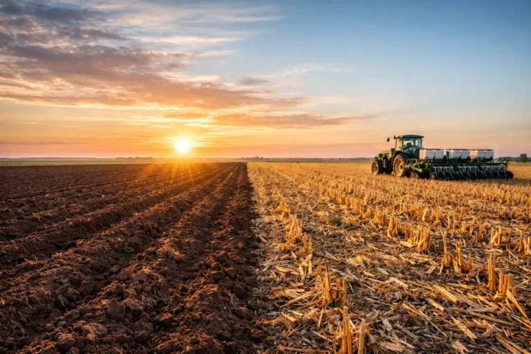 tillage vs no-till farming