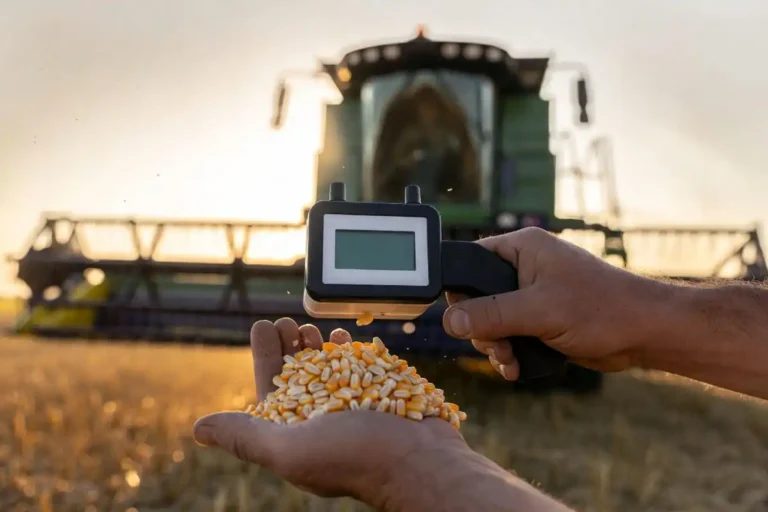 Best Grain Moisture Tester