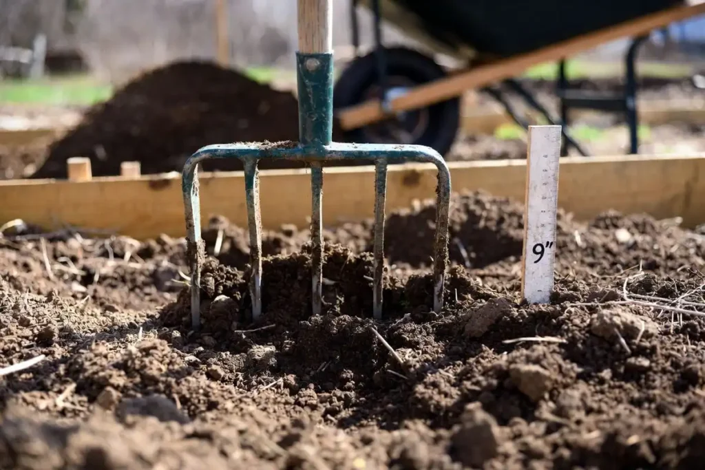 broadfork loosening soil in raised bed