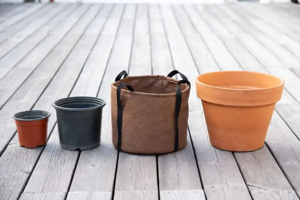 four different sized garden pots side by side for growing tomatoes