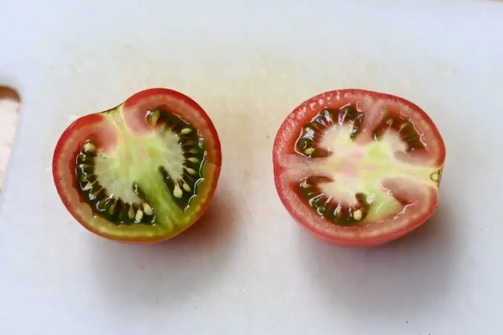 tomato cut in half showing internal seed gel and mature green stage