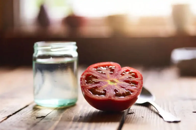 Plant Tomatoes from a Tomato the Right Way
