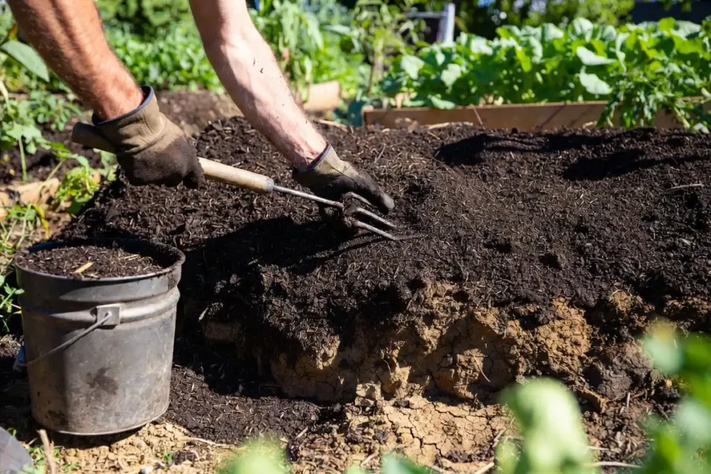 gardener mixing compost into raised bed soil in preparation for planting