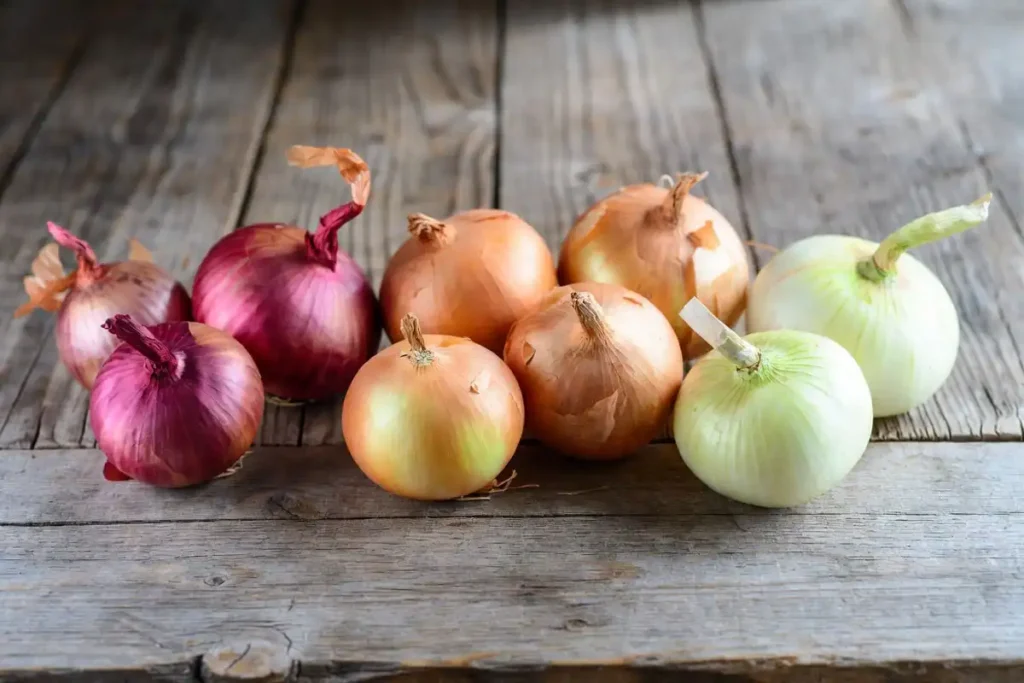 Red creole and walla walla onion bulbs on a wooden table