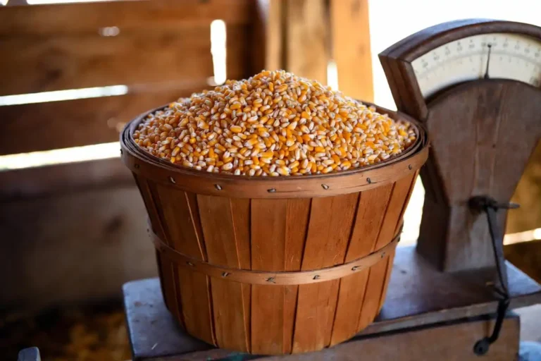 Pounds of Corn in a Bushel