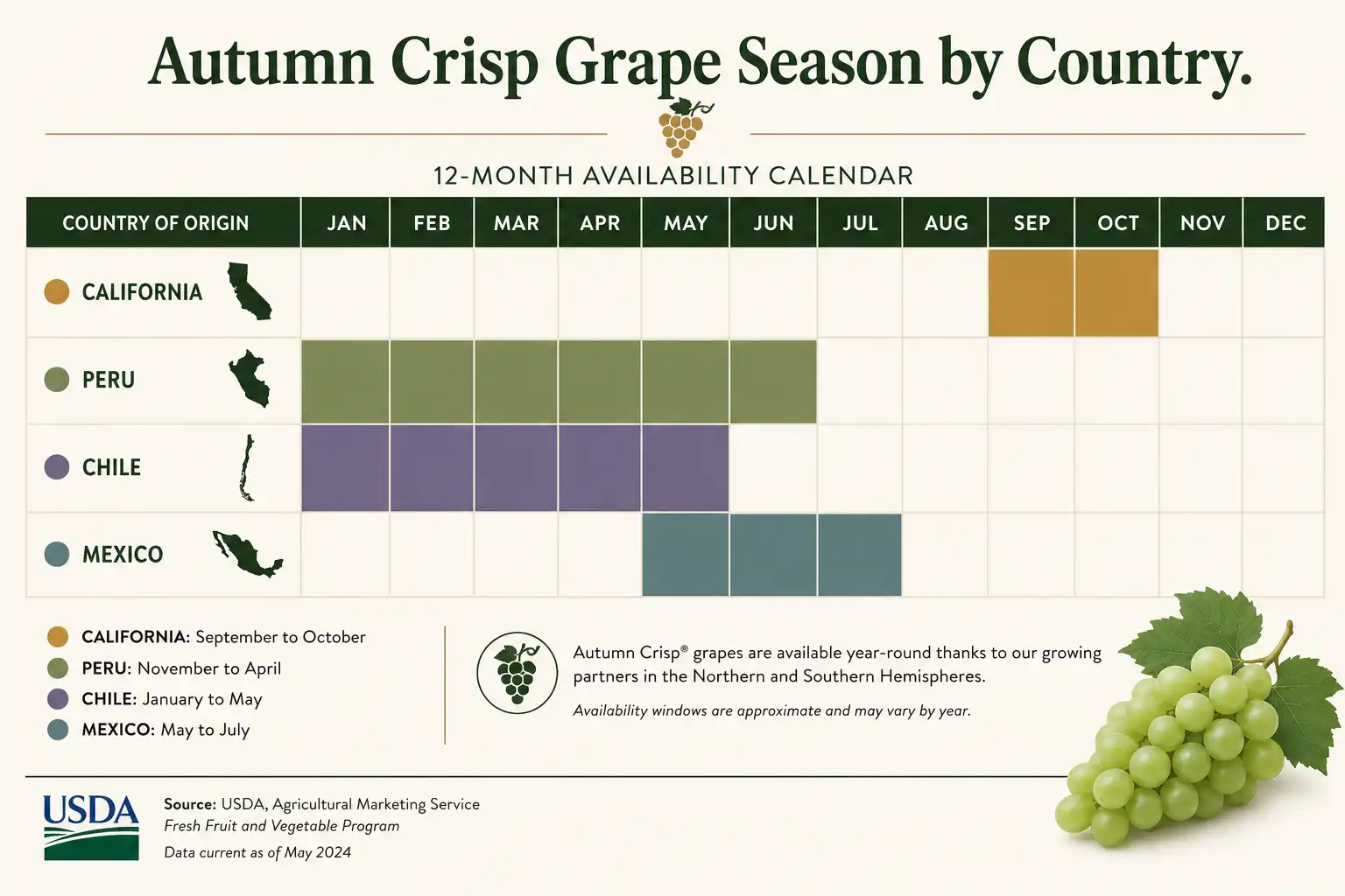 Infographic of monthly availability of Autumn Crisp grapes in the United States by country of origin