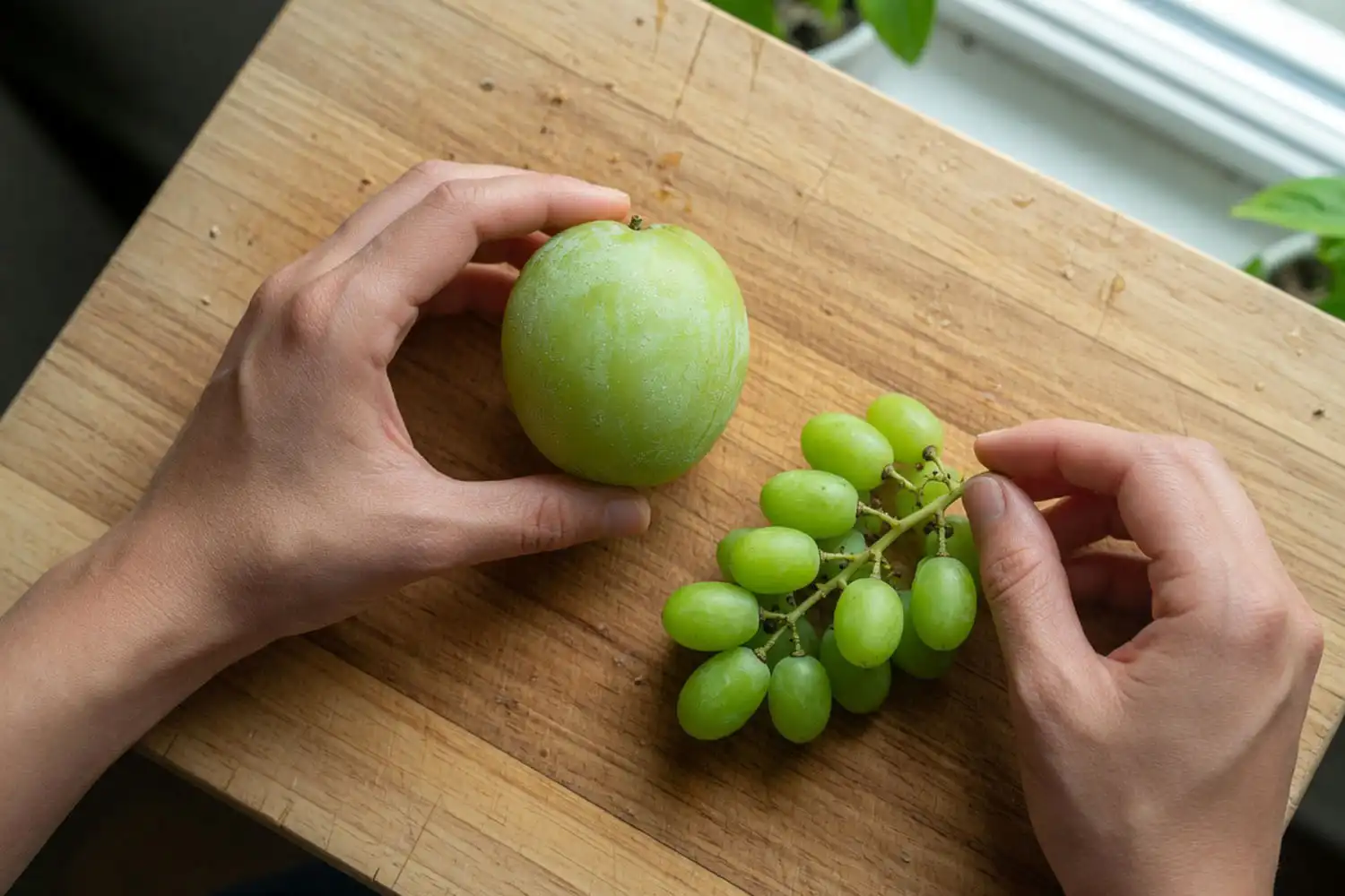 one large Autumn Crisp grape beside a smaller Thompson Seedless cluster for size reference
