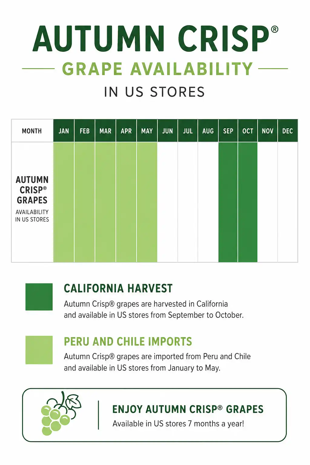 Year-round calendar infographic showing when Autumn Crisp grapes are in season in US grocery stores