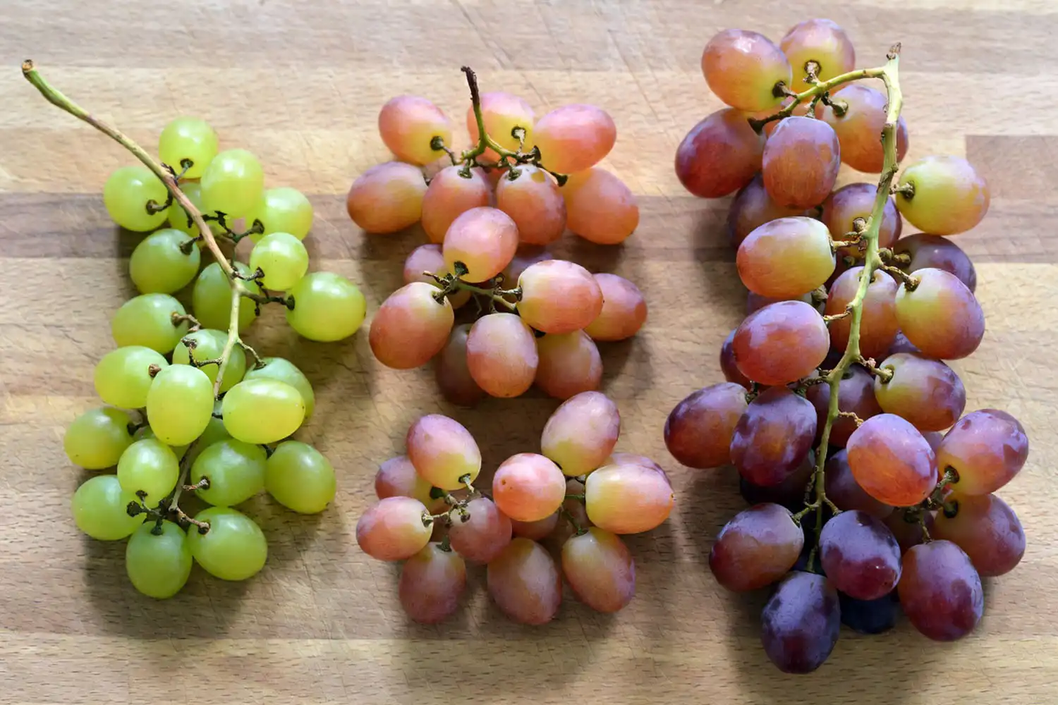 Size comparison showing Autumn Crisp grapes next to other common non-GMO table grape varieties