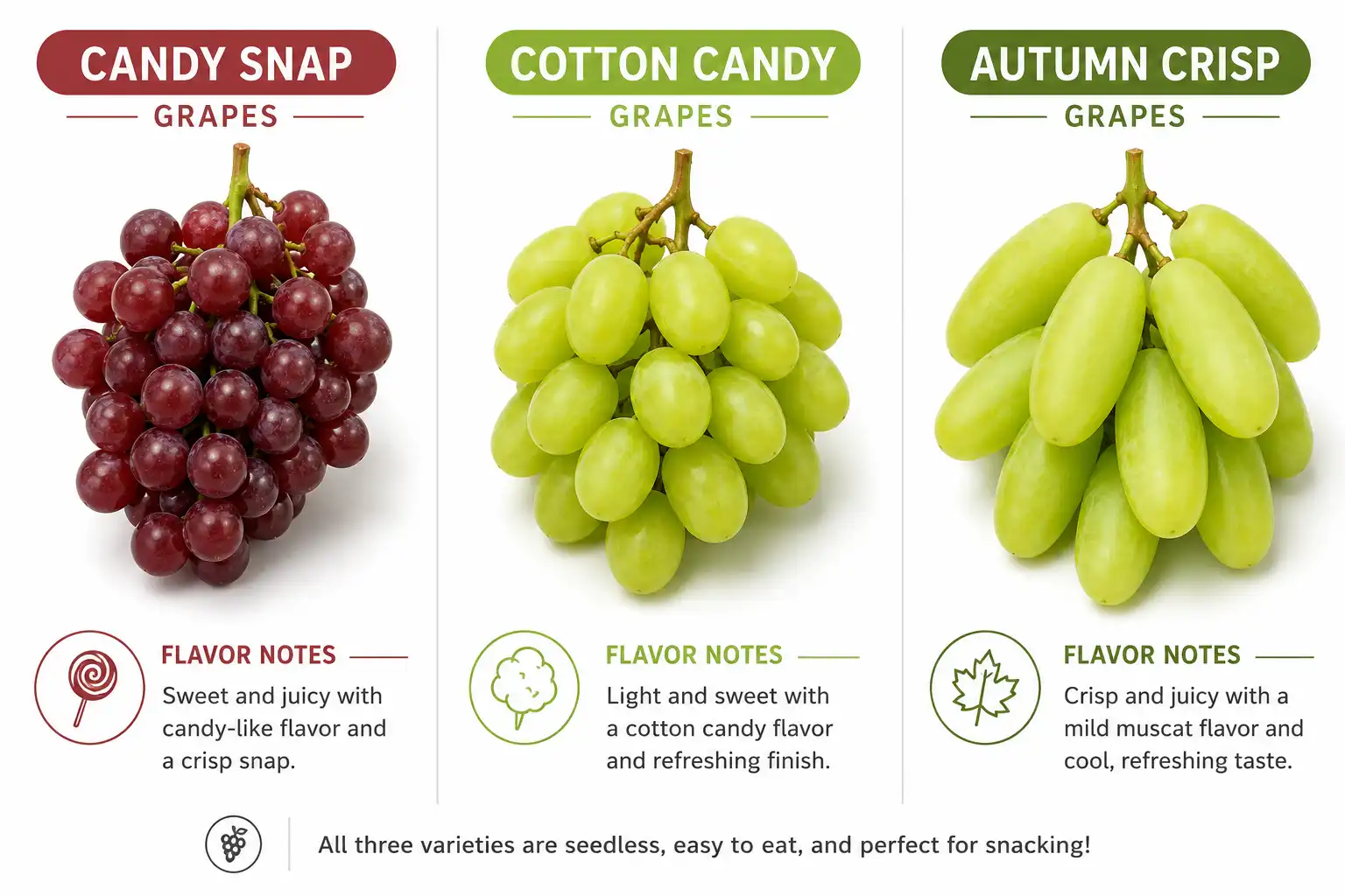 Side-by-side comparison of Candy Snap Cotton Candy and Autumn Crisp grape varieties showing color size and flavor