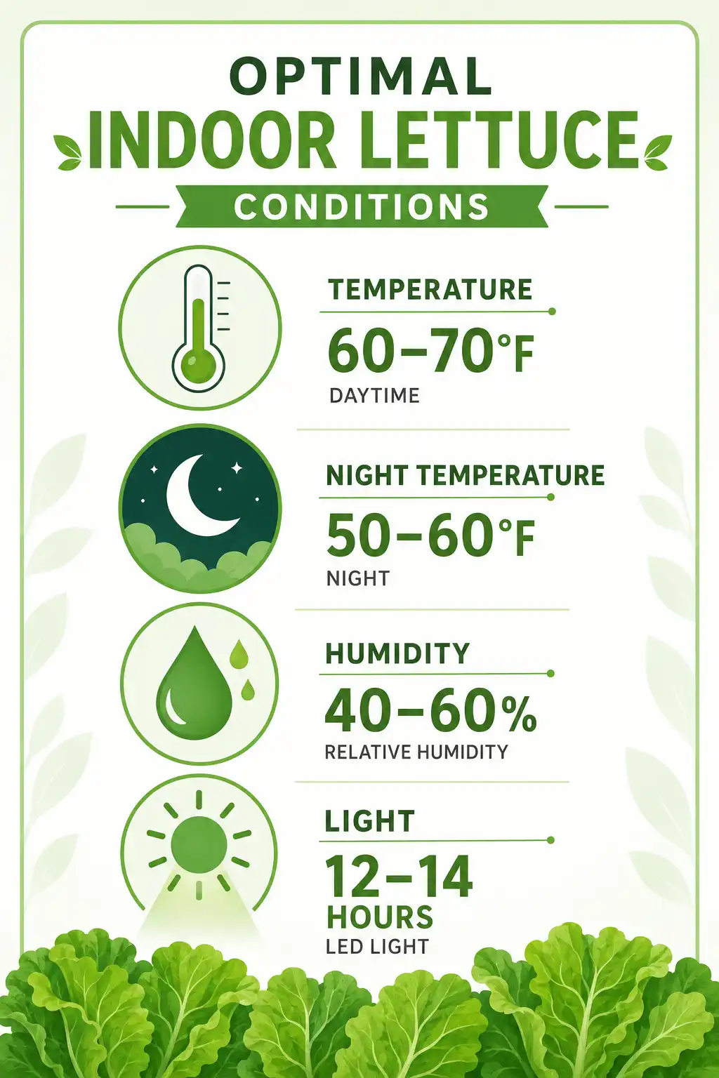 Infographic of ideal temperature, humidity, and light for growing lettuce indoors