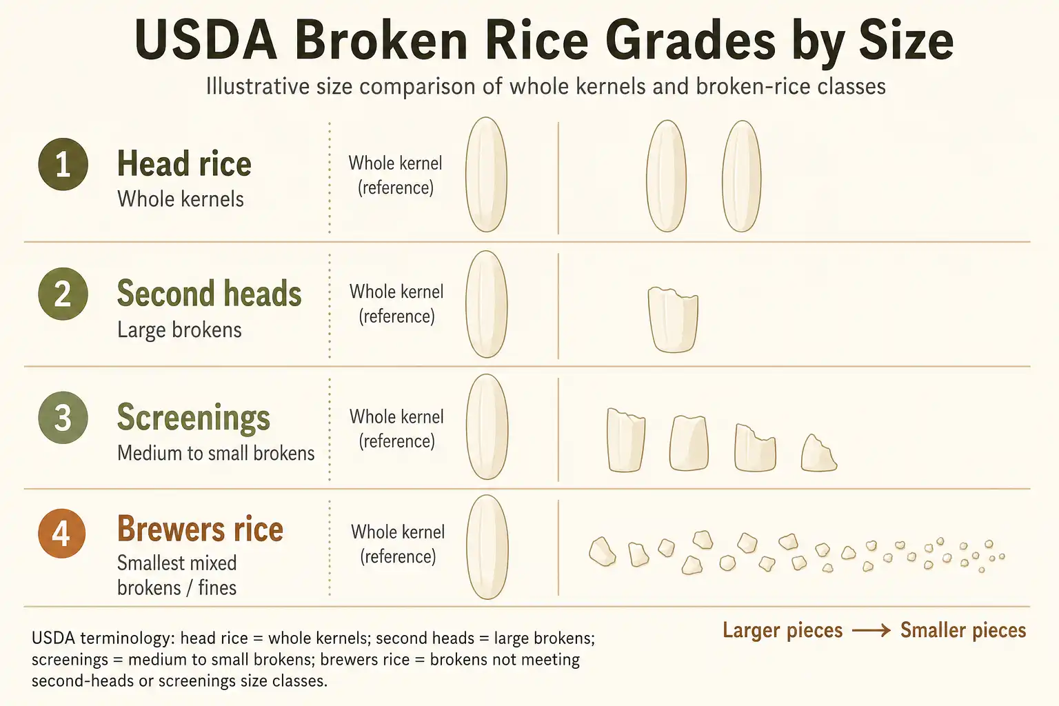 USDA broken rice grades comparison infographic showing head rice second heads screenings and brewers rice