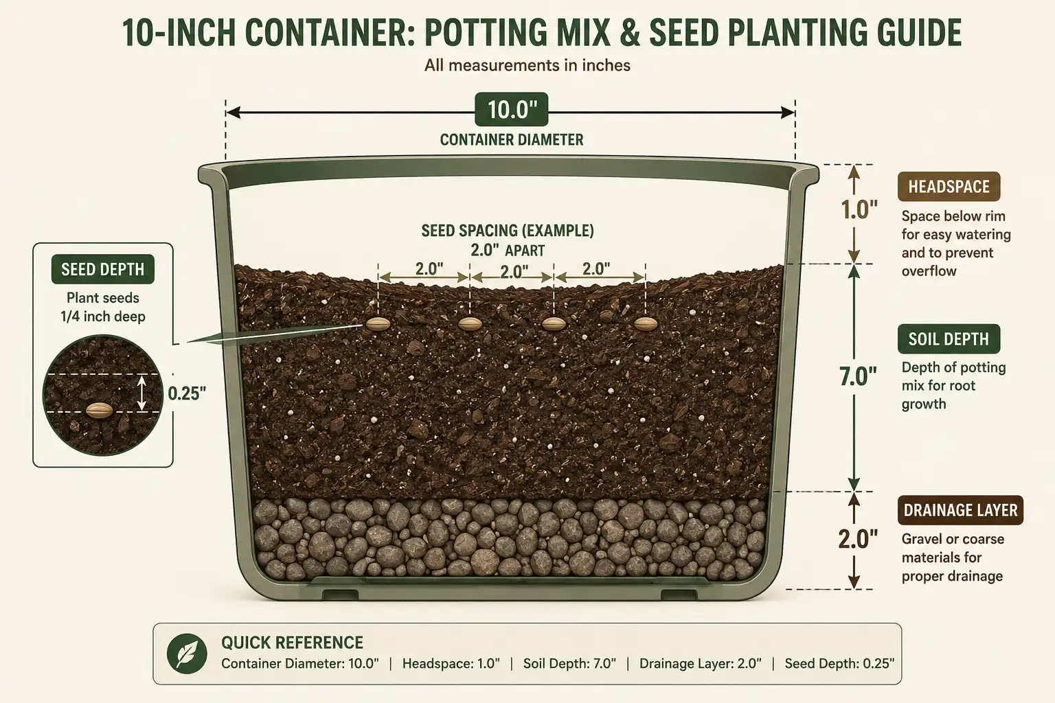 Cross-section diagram of correct depth and spacing for planting lettuce seeds in a pot