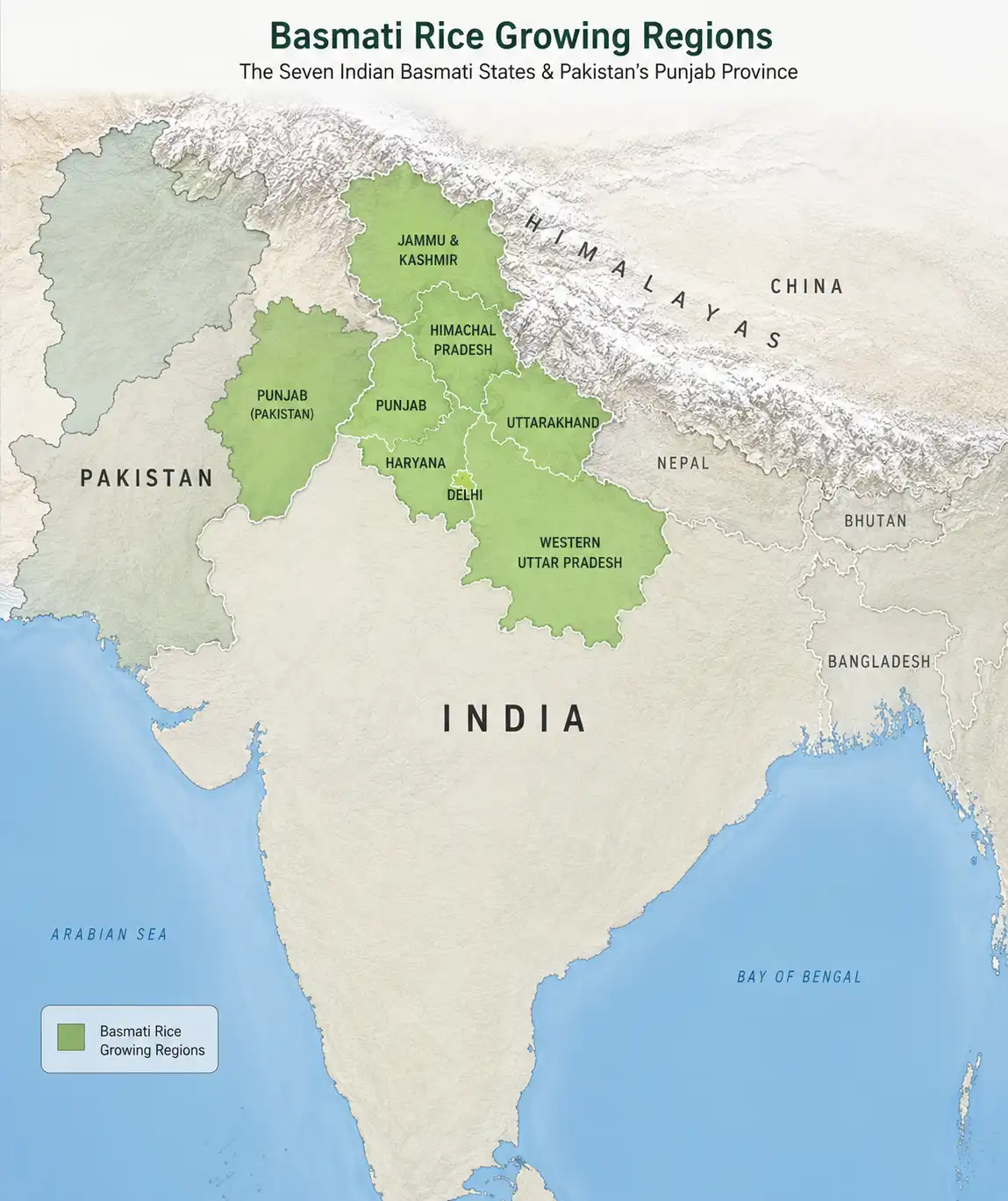 Map of where basmati rice is from including seven Indian states and Pakistan's Punjab