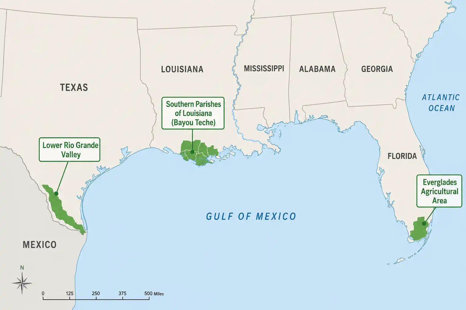 Map of exact regions where sugarcane is grown in the US across Florida, Louisiana, and Texas