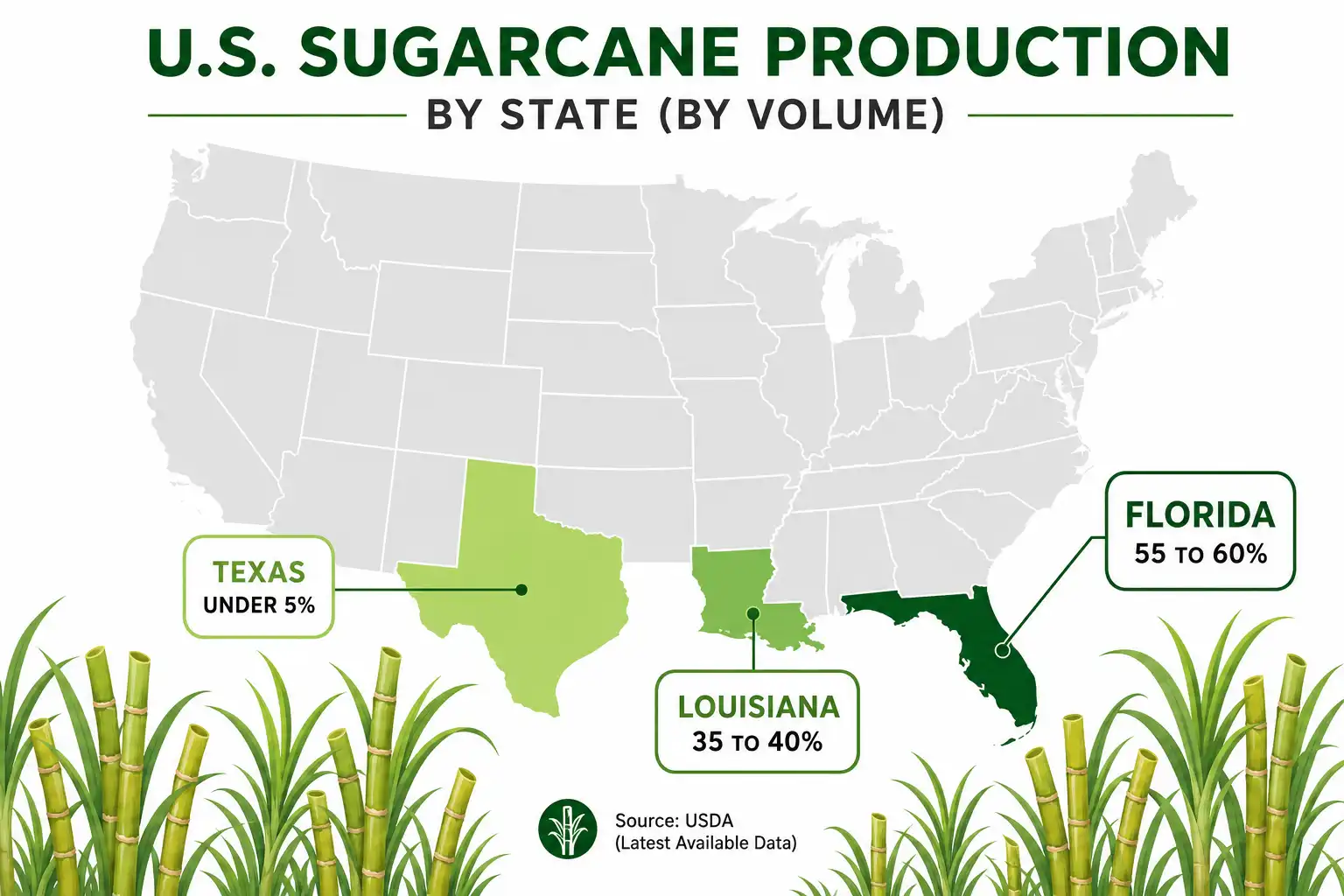 Infographic of where sugarcane is grown in the US by state and production share