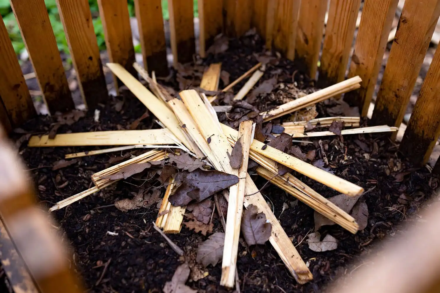 Used sugarcane straws decomposing inside a backyard compost bin with brown leaves and finished compost