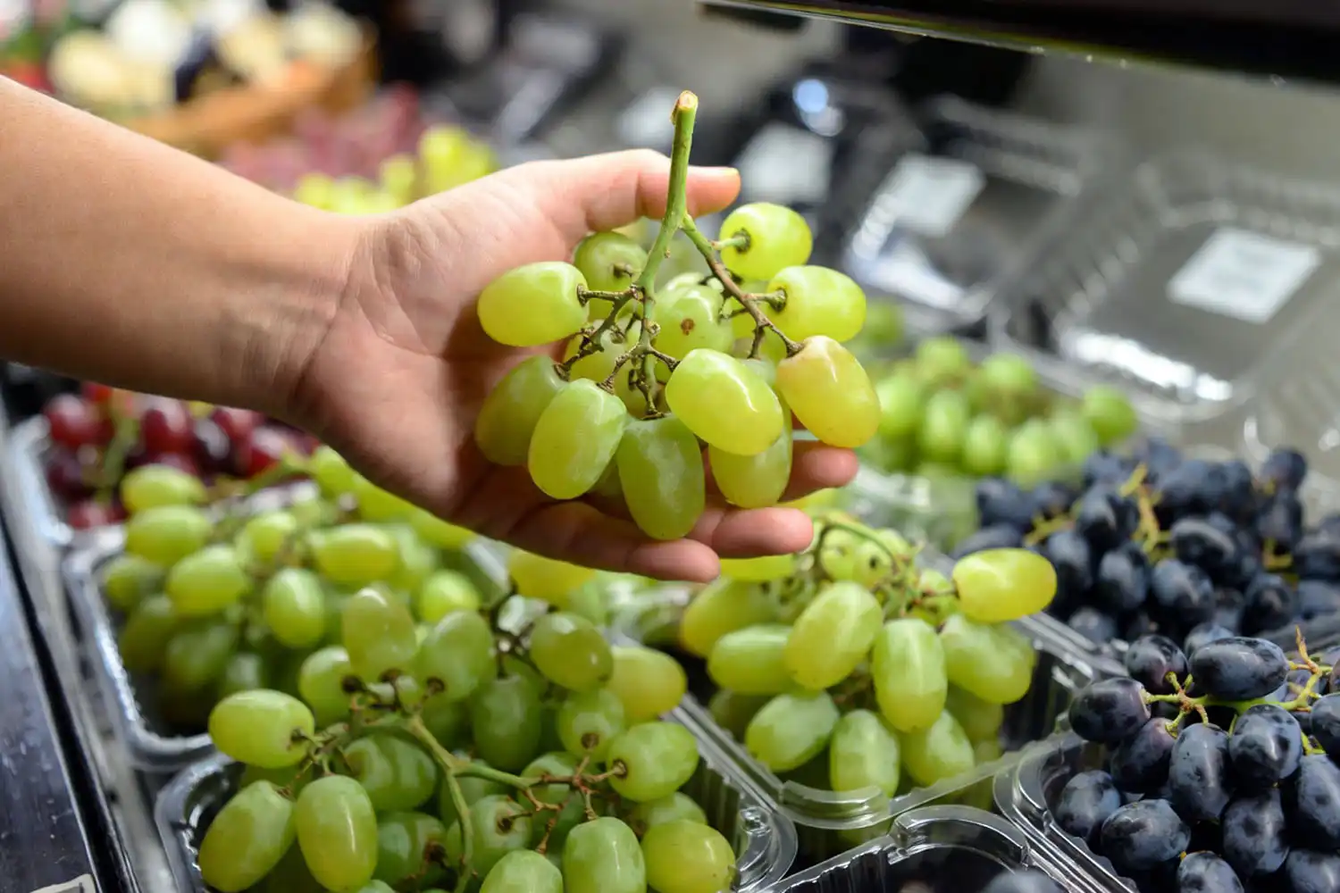 Shopper selecting fresh Autumn Crisp green grapes from a grocery store produce section