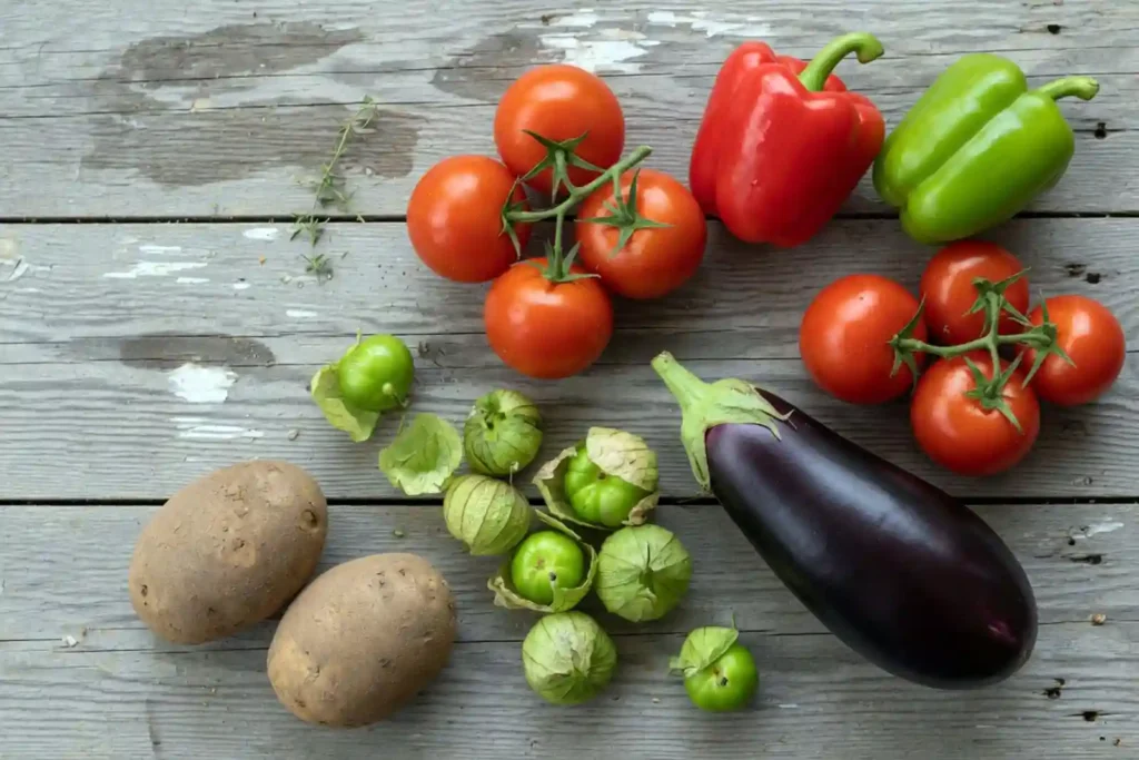 Tomato eggplant pepper and potato grouped together as Solanaceae nightshades