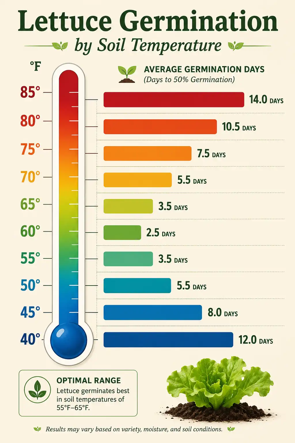 Infographic of lettuce seed germination time at soil temperatures from 40 to 85 degrees Fahrenheit