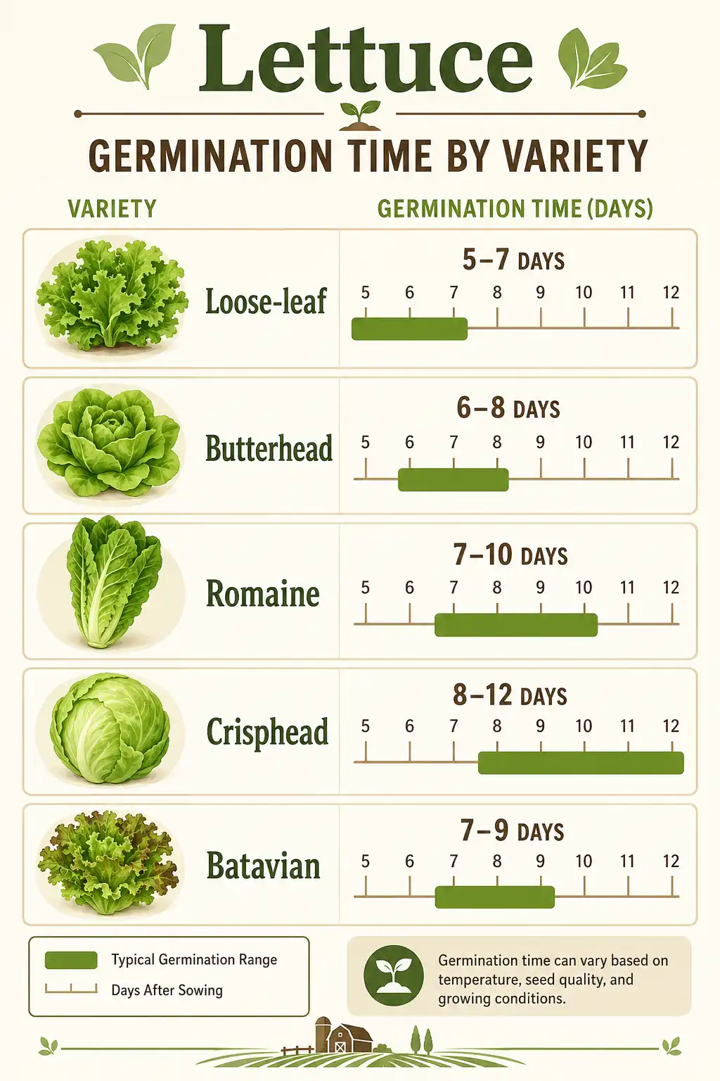 Infographic of lettuce germination time for loose-leaf, butterhead, romaine, crisphead, and batavian varieties