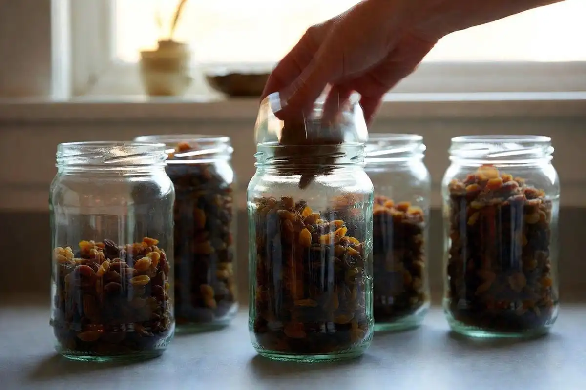 Glass jars two-thirds full of homemade raisins being shaken daily to condition and even out moisture before storage.