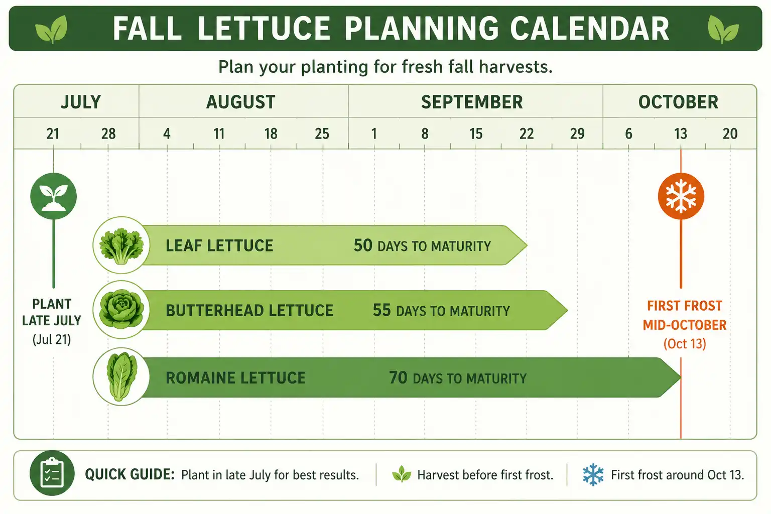 Calendar counting back from mid-October frost to time a July or August lettuce planting