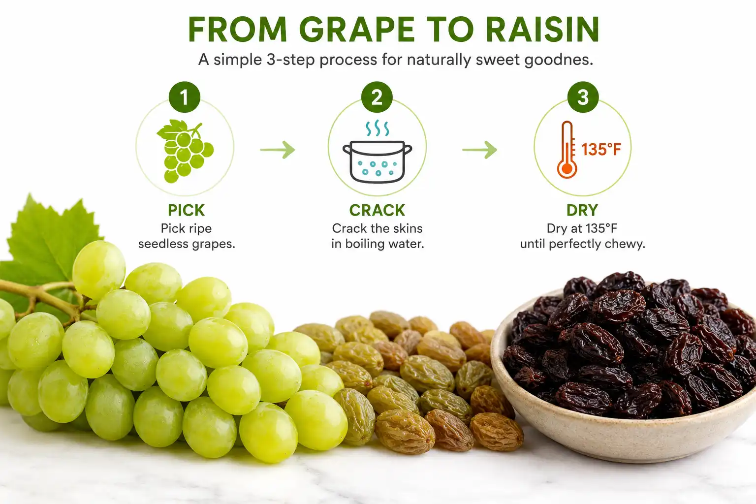 Infographic of how to make raisins from grapes by picking ripe seedless grapes, cracking the skins, and drying them at 135 degrees Fahrenheit.