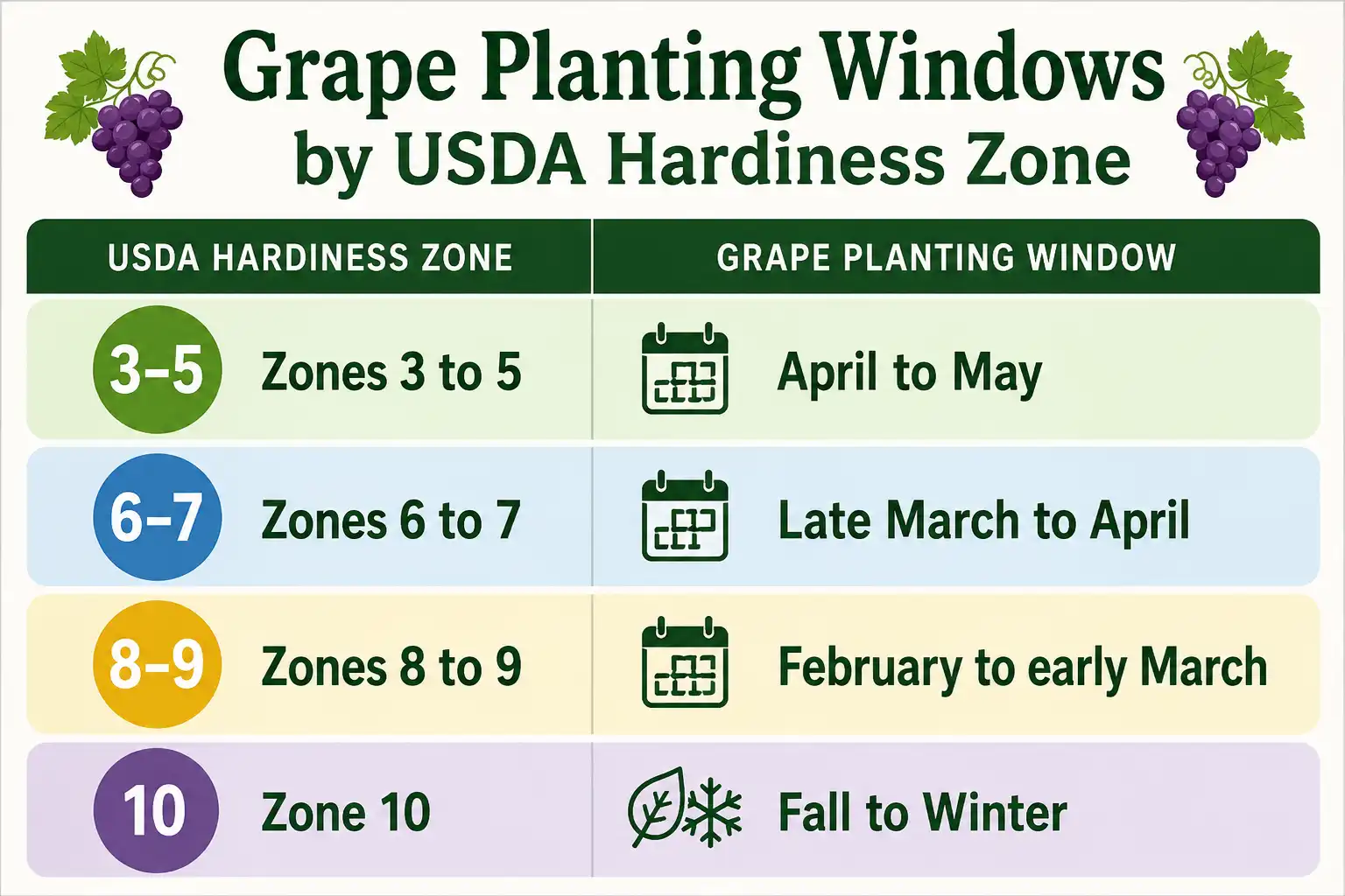 Chart of grape planting windows by USDA hardiness zone from cold to warm regions
