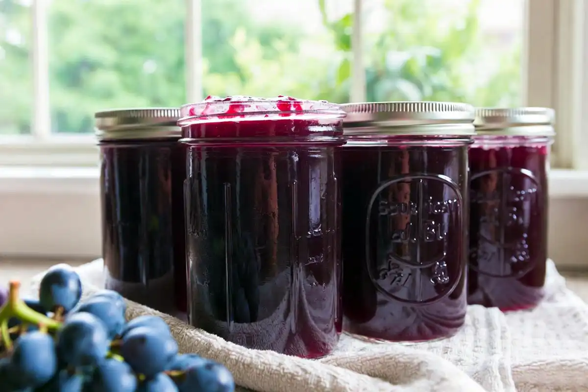 Jars of homemade Concord grape jelly and juice, a classic way to use a Concord grape harvest