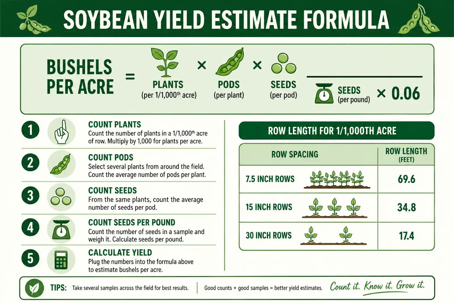 Infographic of the soybean yield estimate formula and row-length counting guide for predicting bushels per acre