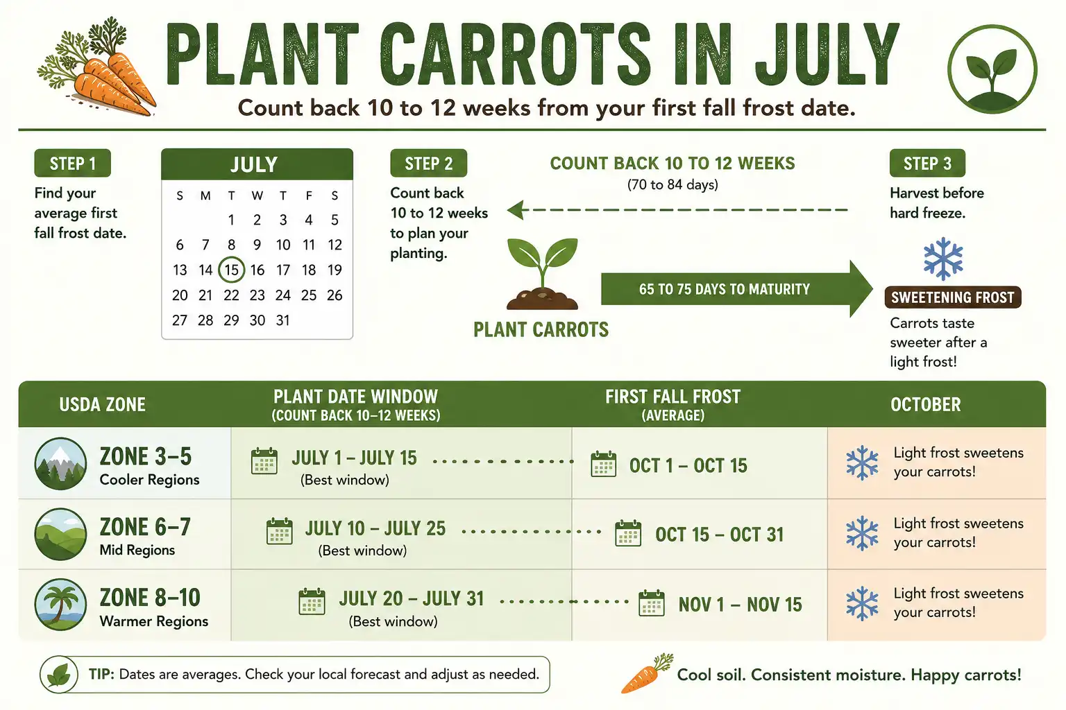 Infographic of when to plant carrots in July by counting back from the first frost across USDA zones