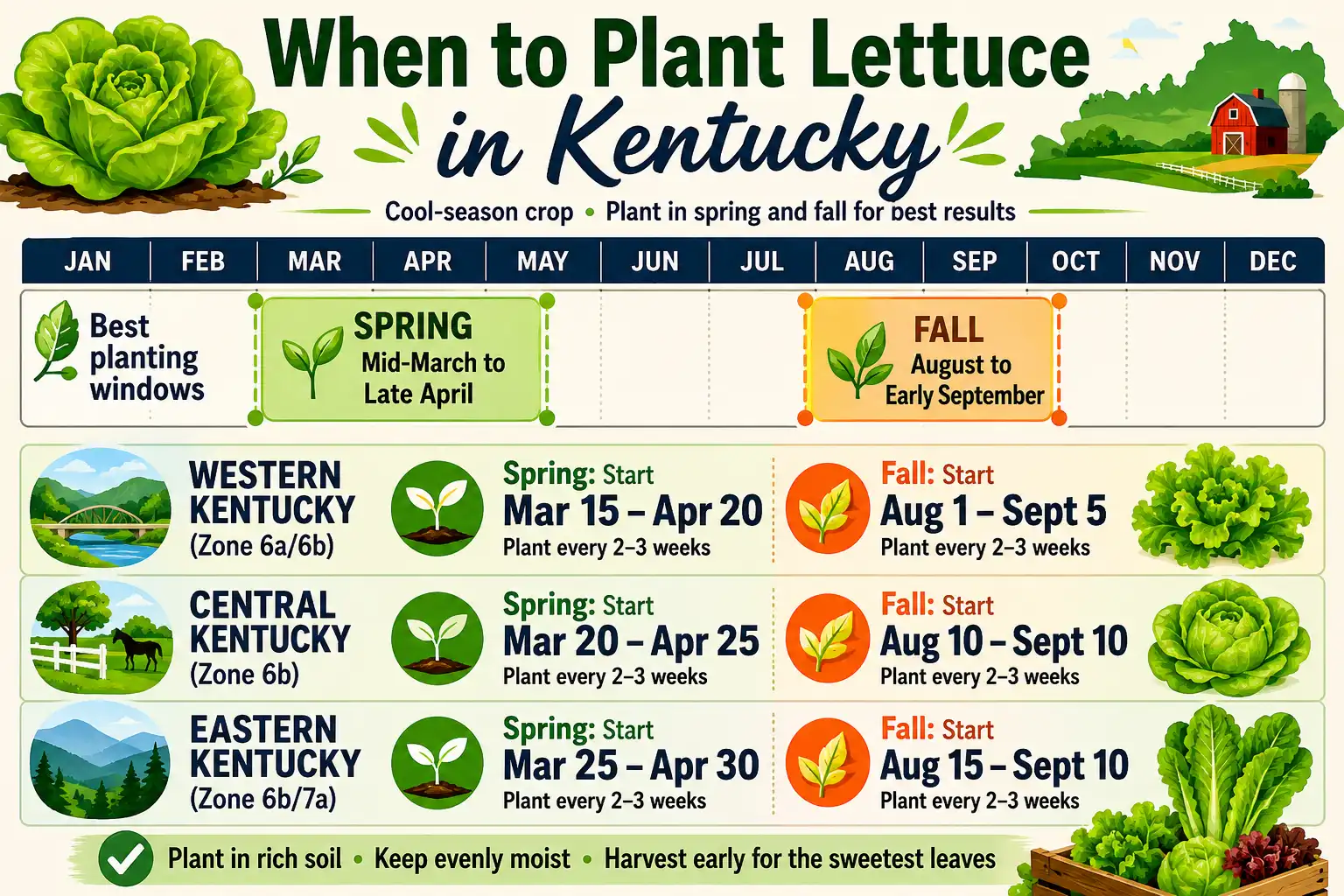 Infographic of plant lettuce in Kentucky, with spring dates from mid-March to April and fall dates from August to early September for the western, central, and eastern regions.