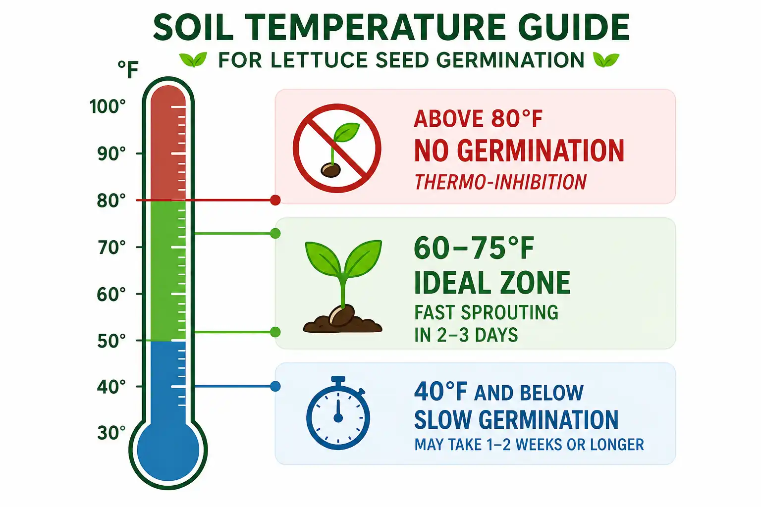 Chart of ideal soil temperature for lettuce seed germination, with a green zone at 60 to 75 degrees and a no-sprout band above 80