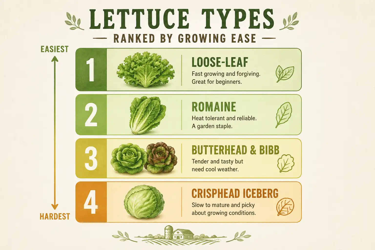 Infographic ranking lettuce types by ease of growing, with loose-leaf easiest and iceberg hardest