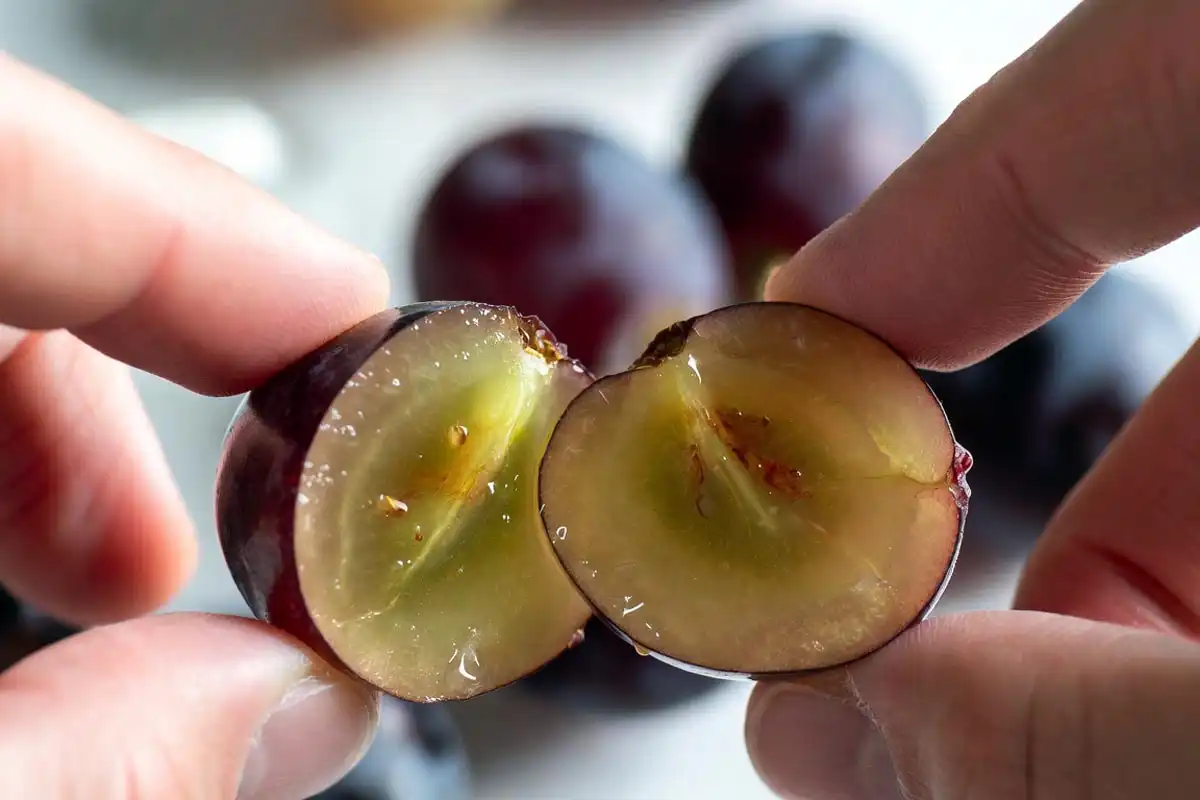 A Moon Drop grape snapped in half by hand, about the firm crisp seedless flesh that gives these grapes their snappy texture.
