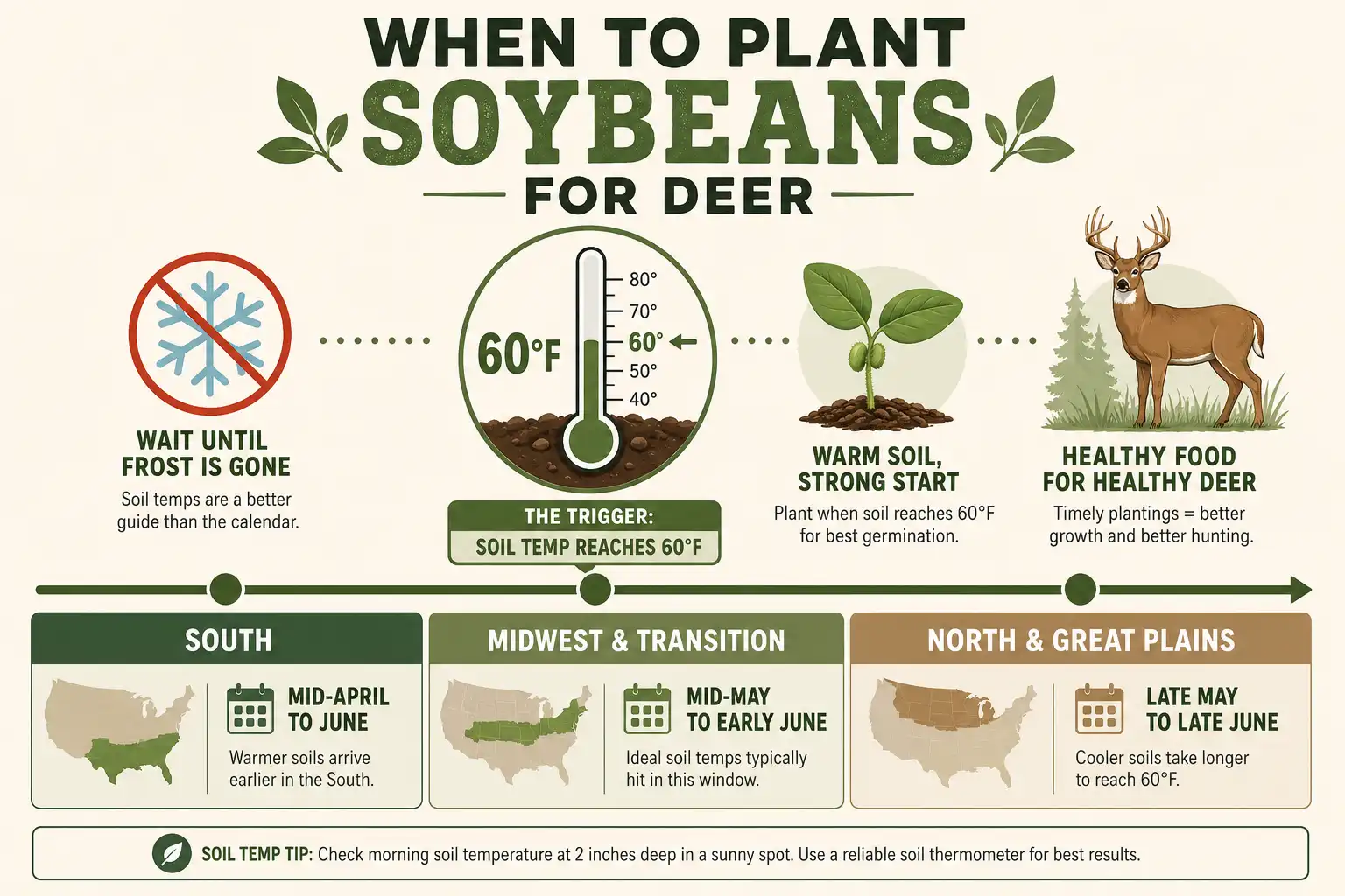 Infographic of plant soybeans for deer by region and soil temperature, with a 60°F trigger point.