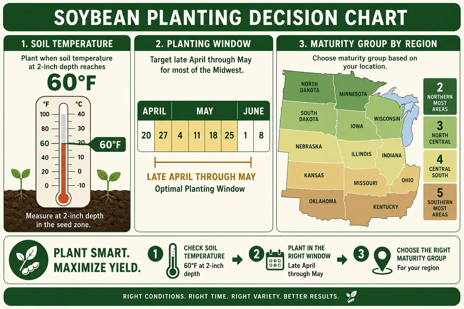 Infographic of when to plant soybeans by 60 degree soil temperature and regional maturity group