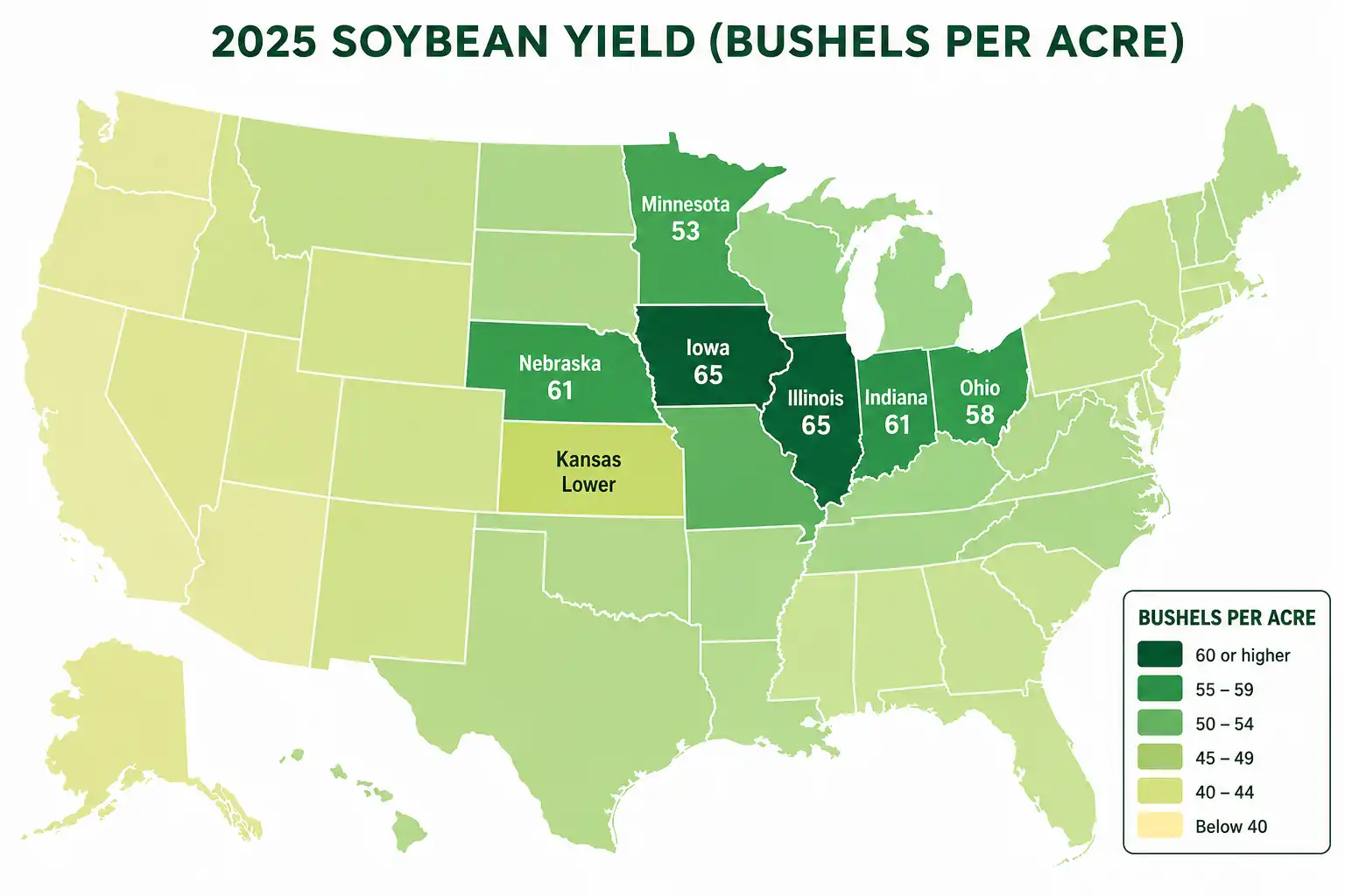 US map infographic of soybean yield by state in 2025, Corn Belt states leading in bushels per acre