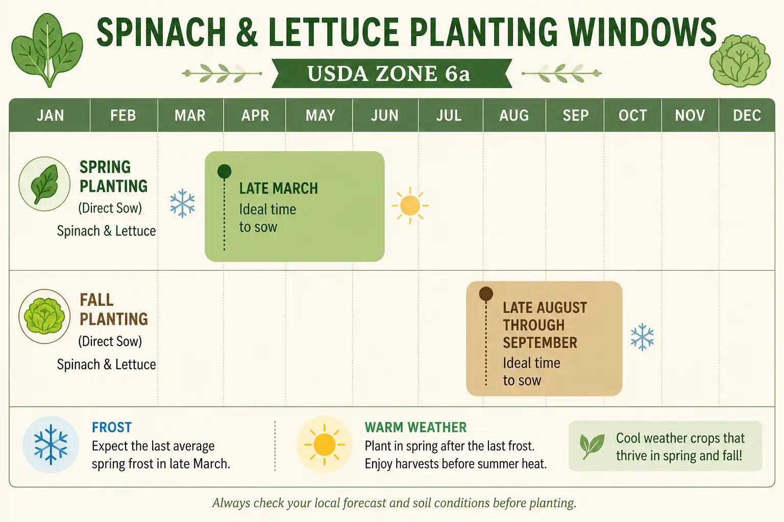 Planting calendar of spring and fall windows to plant spinach and lettuce together in USDA zone 6a