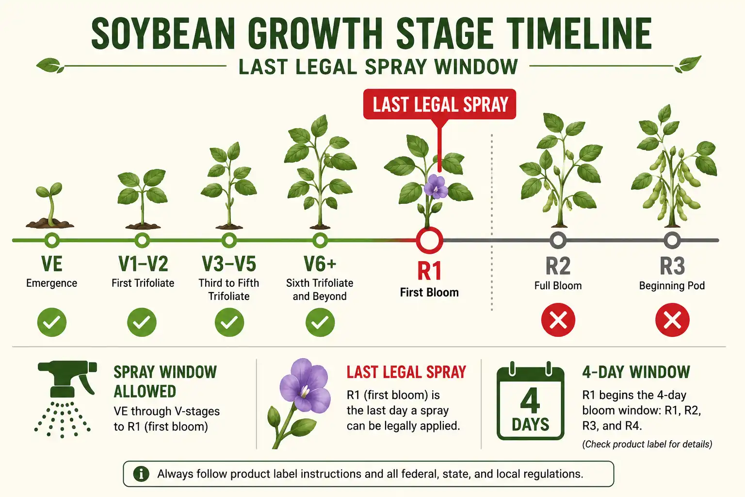 Liberty soybean spray cutoff R1 growth stage infographic