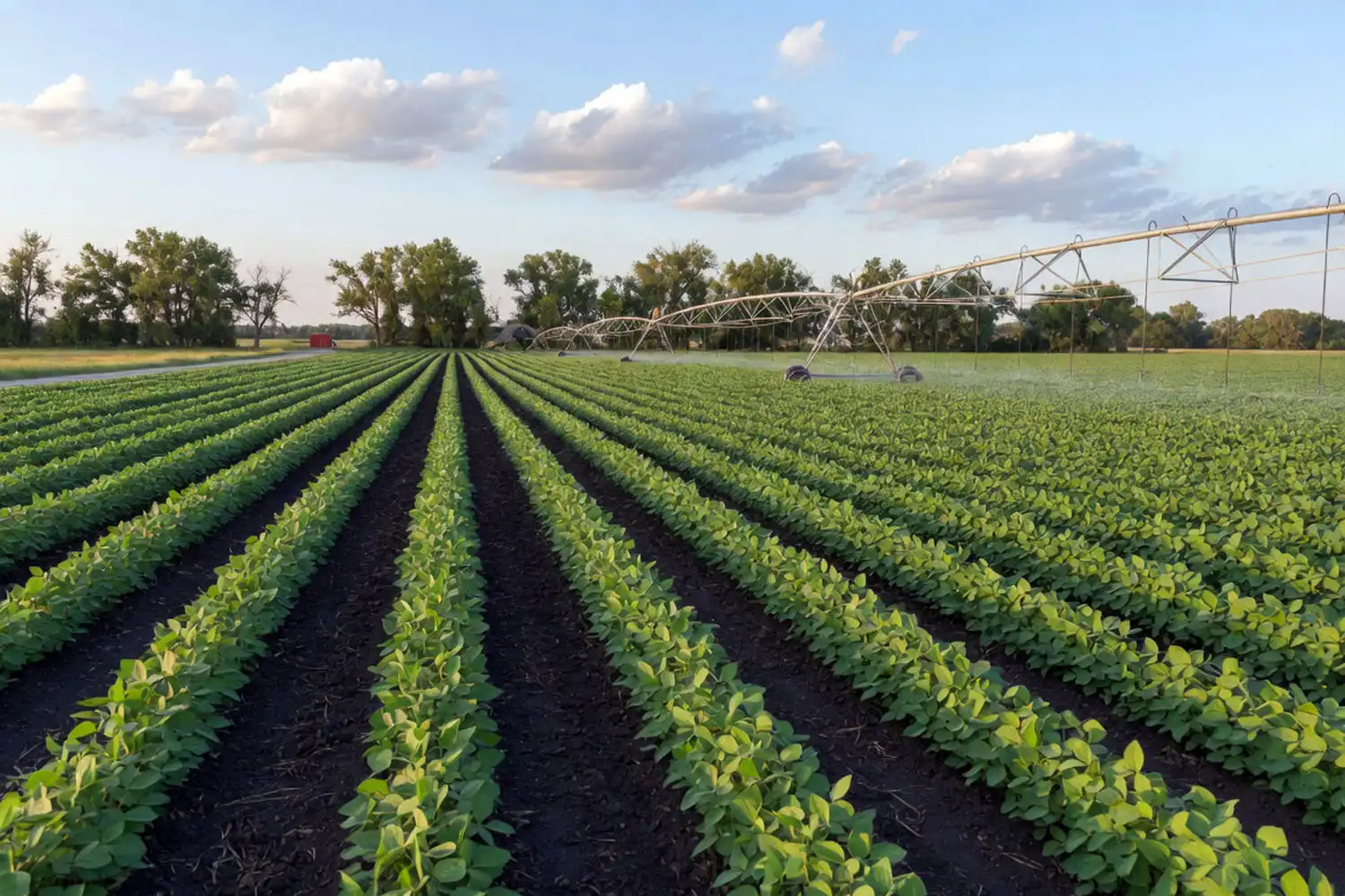 Healthy soybean field in mid-summer with a center pivot, showing the crop during peak seasonal water use