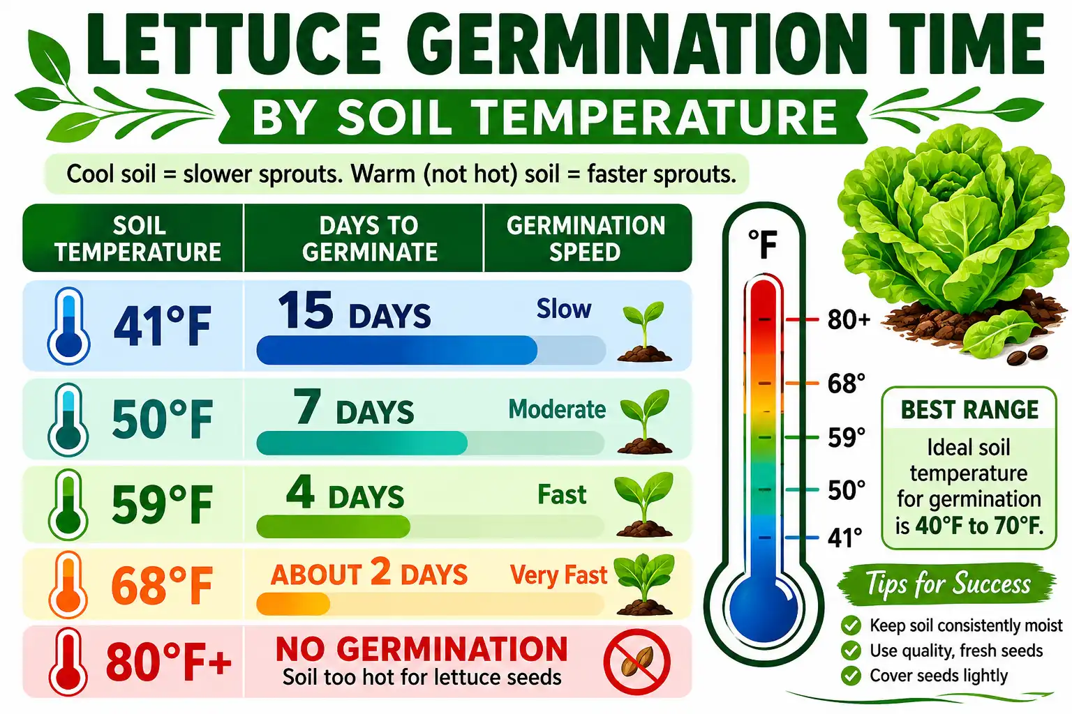 Chart of lettuce seed germination time by soil temperature, key to timing when to plant lettuce in Ohio.