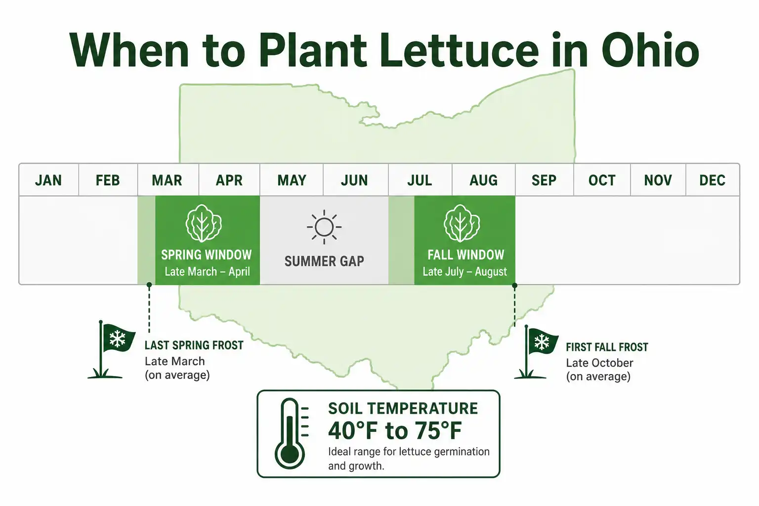 Infographic of when to plant lettuce in Ohio, with spring and fall planting windows, frost dates, and soil temperature.