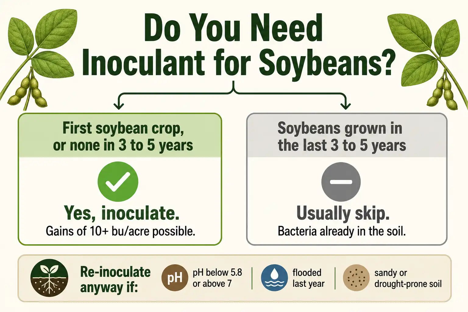 Infographic of when to use inoculant for soybeans based on field history