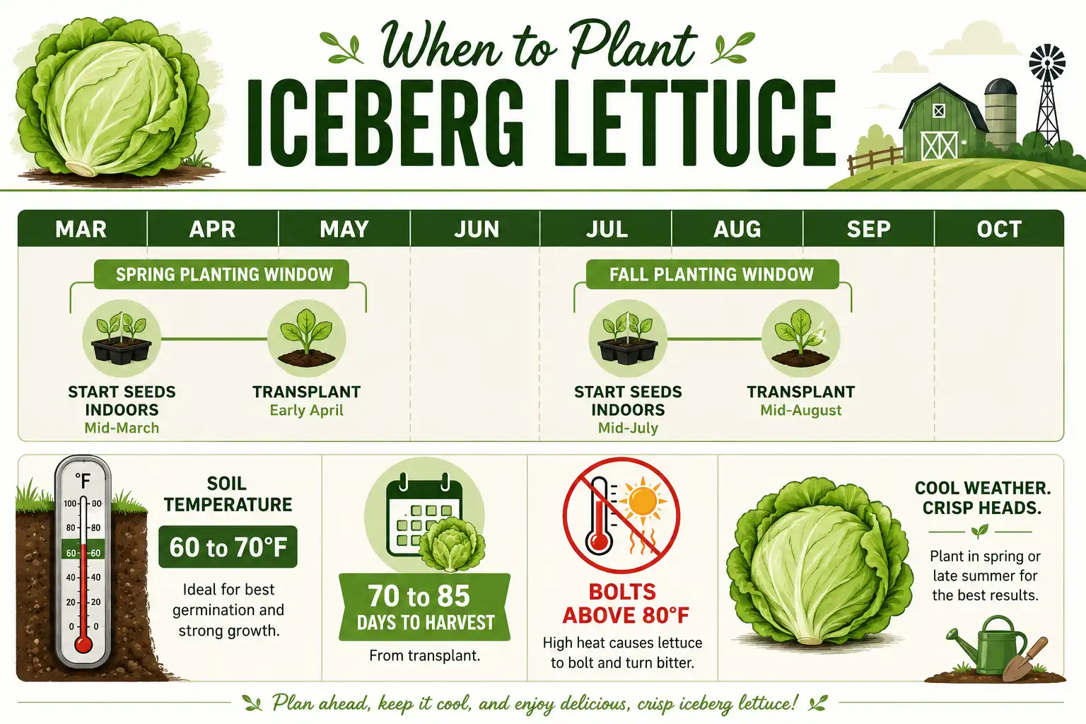 Infographic guide of when to plant iceberg lettuce, with spring and fall planting windows, ideal soil temperature, and days to harvest.